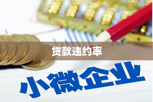 遂宁贷款违约率