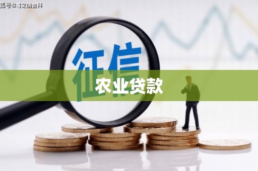 遂宁农业贷款