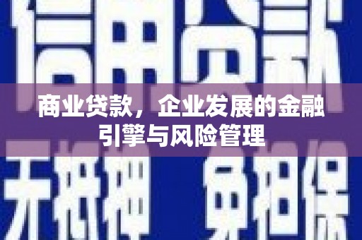 遂宁商业贷款，企业发展的金融引擎与风险管理