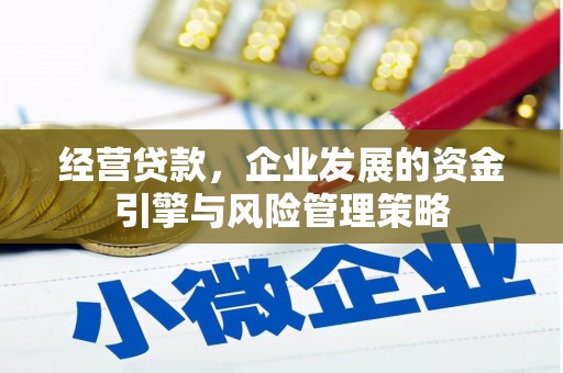 遂宁经营贷款，企业发展的资金引擎与风险管理策略