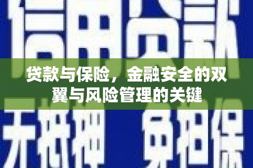 遂宁贷款与保险，金融安全的双翼与风险管理的关键