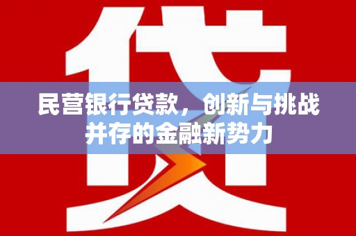 遂宁民营银行贷款，创新与挑战并存的金融新势力