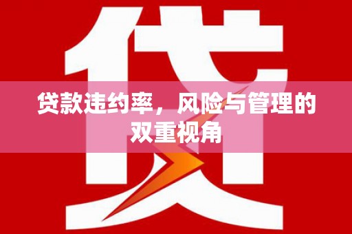 遂宁贷款违约率，风险与管理的双重视角