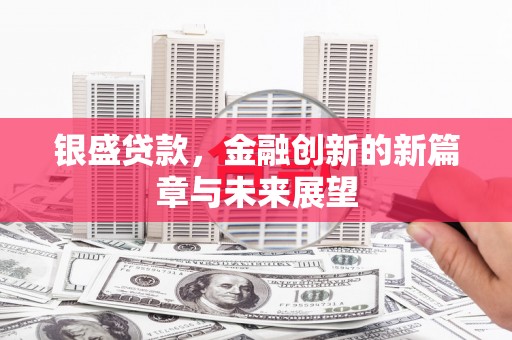 遂宁银盛贷款，金融创新的新篇章与未来展望