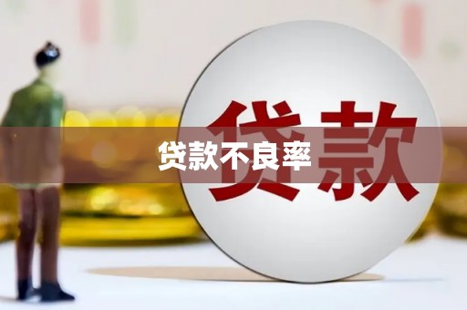 遂宁贷款不良率