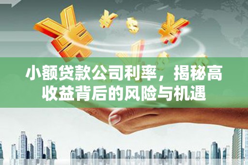 遂宁小额贷款公司利率，揭秘高收益背后的风险与机遇