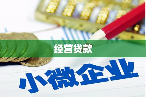 遂宁经营贷款