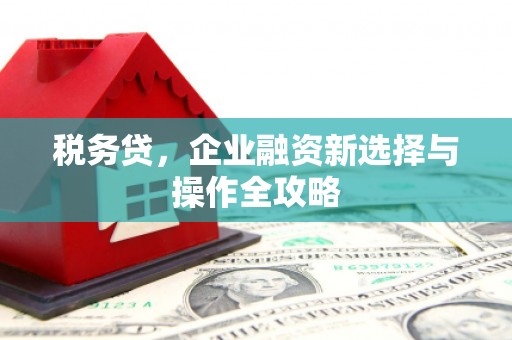 遂宁税务贷，企业融资新选择与操作全攻略