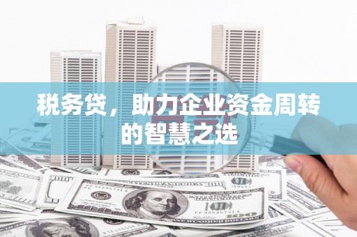 遂宁税务贷，助力企业资金周转的智慧之选