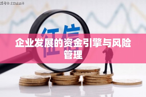 遂宁企业发展的资金引擎与风险管理