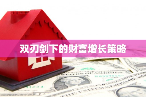 遂宁双刃剑下的财富增长策略