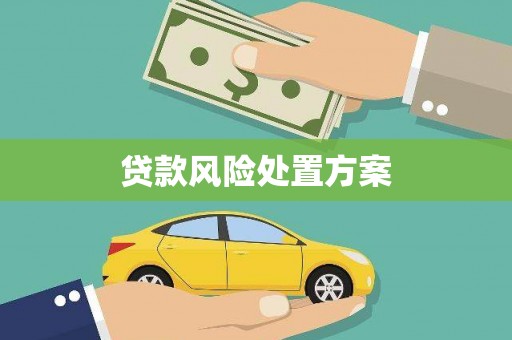 遂宁贷款风险处置方案