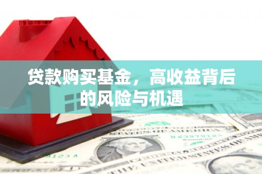遂宁贷款购买基金，高收益背后的风险与机遇