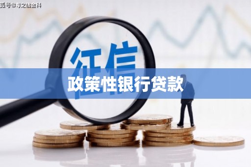 遂宁政策性银行贷款