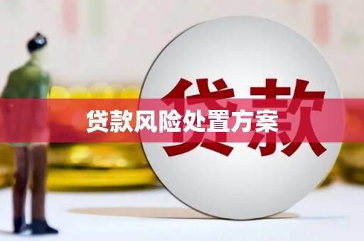 遂宁贷款风险处置方案