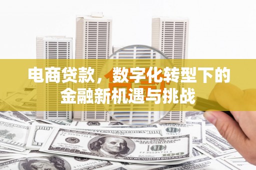 遂宁电商贷款，数字化转型下的金融新机遇与挑战