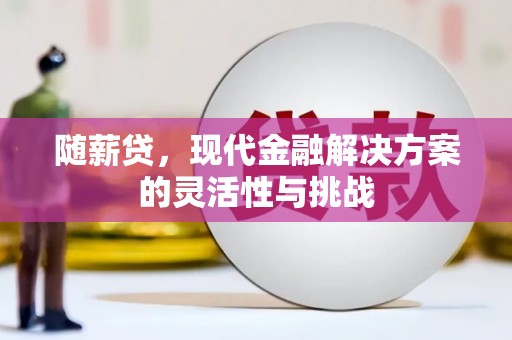 遂宁随薪贷，现代金融解决方案的灵活性与挑战