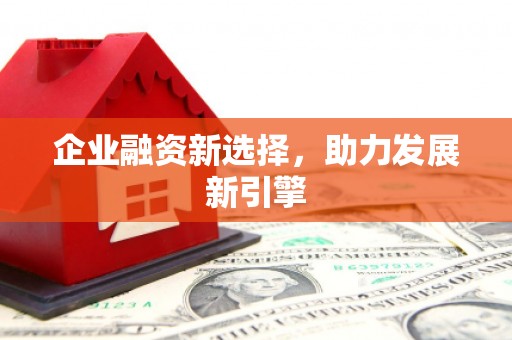 遂宁企业融资新选择，助力发展新引擎