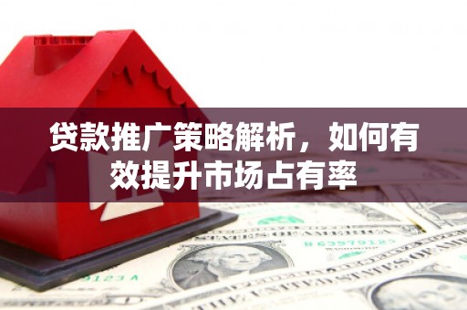 遂宁贷款推广策略解析，如何有效提升市场占有率