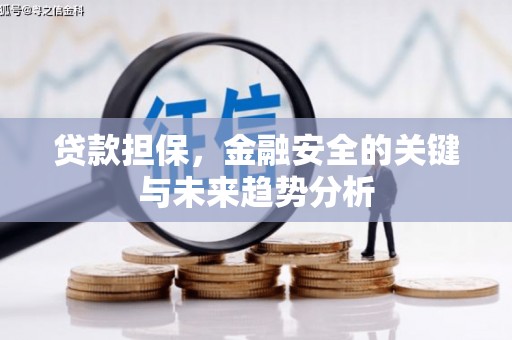 遂宁贷款担保，金融安全的关键与未来趋势分析