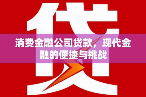 遂宁消费金融公司贷款，现代金融的便捷与挑战