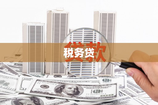 遂宁税务贷
