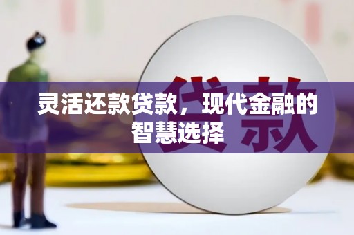 遂宁灵活还款贷款，现代金融的智慧选择