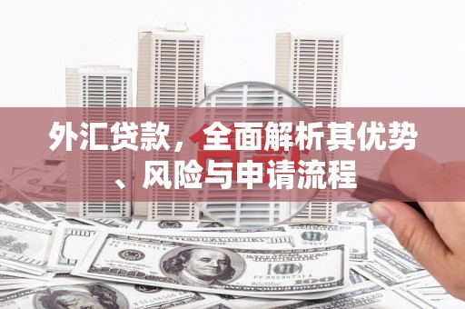 遂宁外汇贷款，全面解析其优势、风险与申请流程