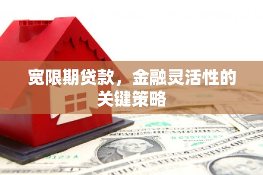 遂宁宽限期贷款，金融灵活性的关键策略