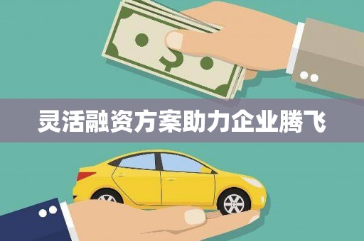 遂宁灵活融资方案助力企业腾飞