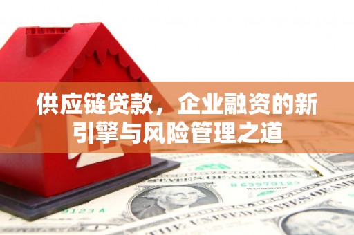 遂宁供应链贷款，企业融资的新引擎与风险管理之道