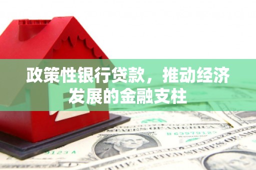遂宁政策性银行贷款，推动经济发展的金融支柱