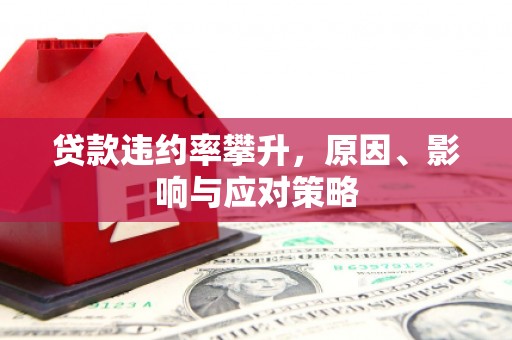 遂宁贷款违约率攀升，原因、影响与应对策略