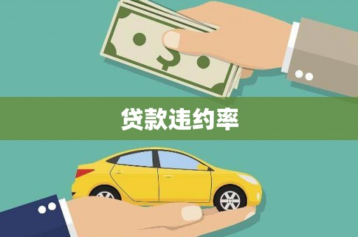 遂宁贷款违约率