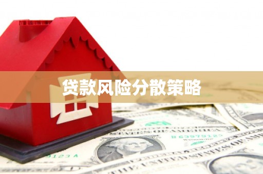 遂宁贷款风险分散策略