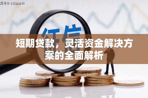 遂宁短期贷款，灵活资金解决方案的全面解析