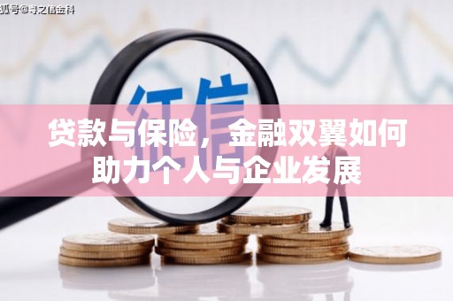 遂宁贷款与保险，金融双翼如何助力个人与企业发展