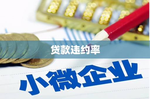 遂宁贷款违约率