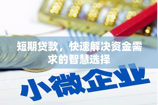 遂宁短期贷款，快速解决资金需求的智慧选择