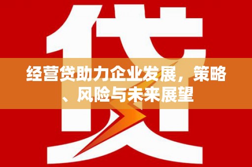 遂宁经营贷助力企业发展，策略、风险与未来展望