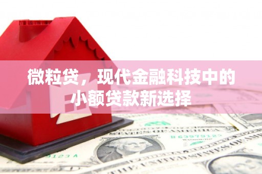 遂宁微粒贷，现代金融科技中的小额贷款新选择