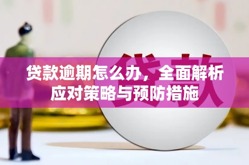 遂宁贷款逾期怎么办，全面解析应对策略与预防措施