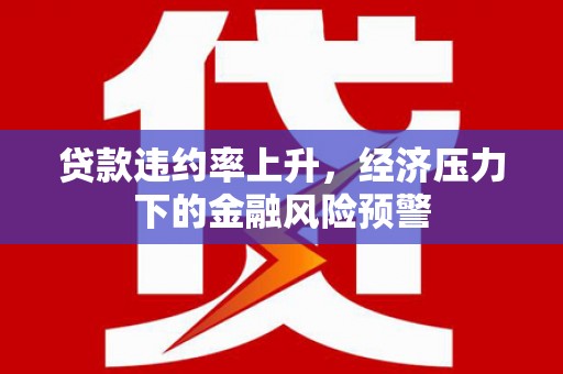 遂宁贷款违约率上升，经济压力下的金融风险预警