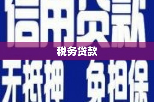 遂宁税务贷款