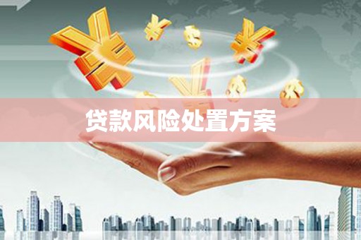 遂宁贷款风险处置方案