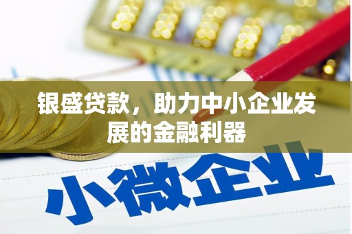 遂宁银盛贷款，助力中小企业发展的金融利器