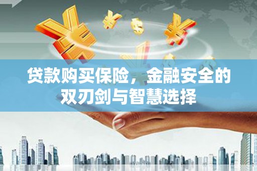 遂宁贷款购买保险，金融安全的双刃剑与智慧选择