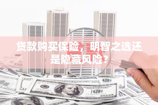 遂宁贷款购买保险，明智之选还是隐藏风险？