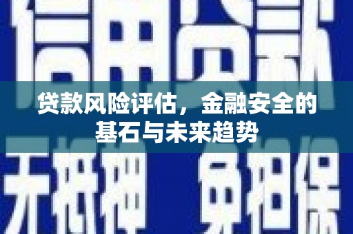 遂宁贷款风险评估，金融安全的基石与未来趋势