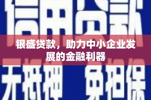 遂宁银盛贷款，助力中小企业发展的金融利器